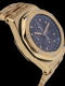 Audemars Piguet - Royal Oak Offshore Chronographe Image 2