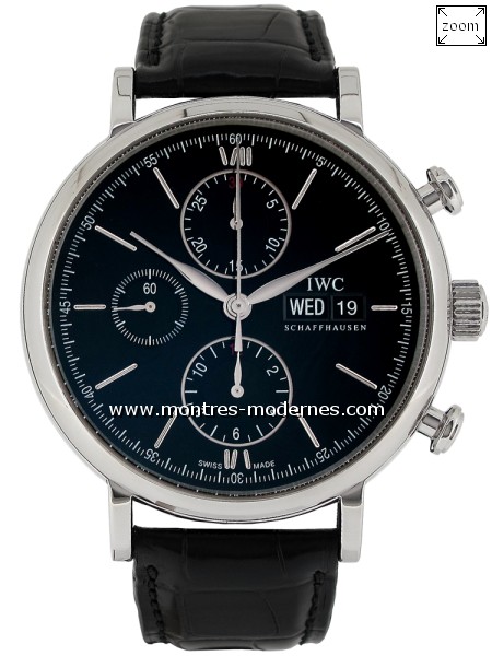iwc montres