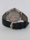 Patek Philippe - Calendrier Annuel R&eacute;gulateur r&eacute;f.5235G Image 6