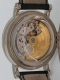 Patek Philippe - Quanti&egrave;me Perp&eacute;puel r&eacute;f.5159G Image 2