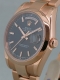 Rolex - Day-Date r&eacute;f.118205 Image 2