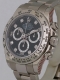 Rolex - Daytona r&eacute;f.116509 Diamond Dial ROLEX Warranty 2 years Image 2