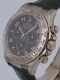 Rolex - Daytona r&eacute;f.116519 Image 2