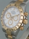 Rolex - Daytona r&eacute;f.116523 Image 2