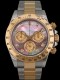 Rolex - Daytona réf.116523 Mother of Pearl & Diamonds Dial