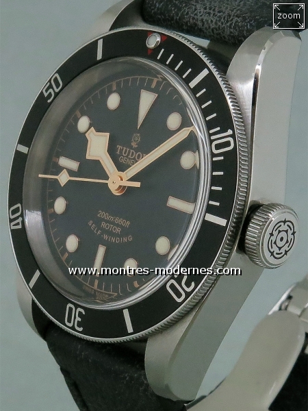 Tudor Heritage Black Bay ref 79230N - Image 2